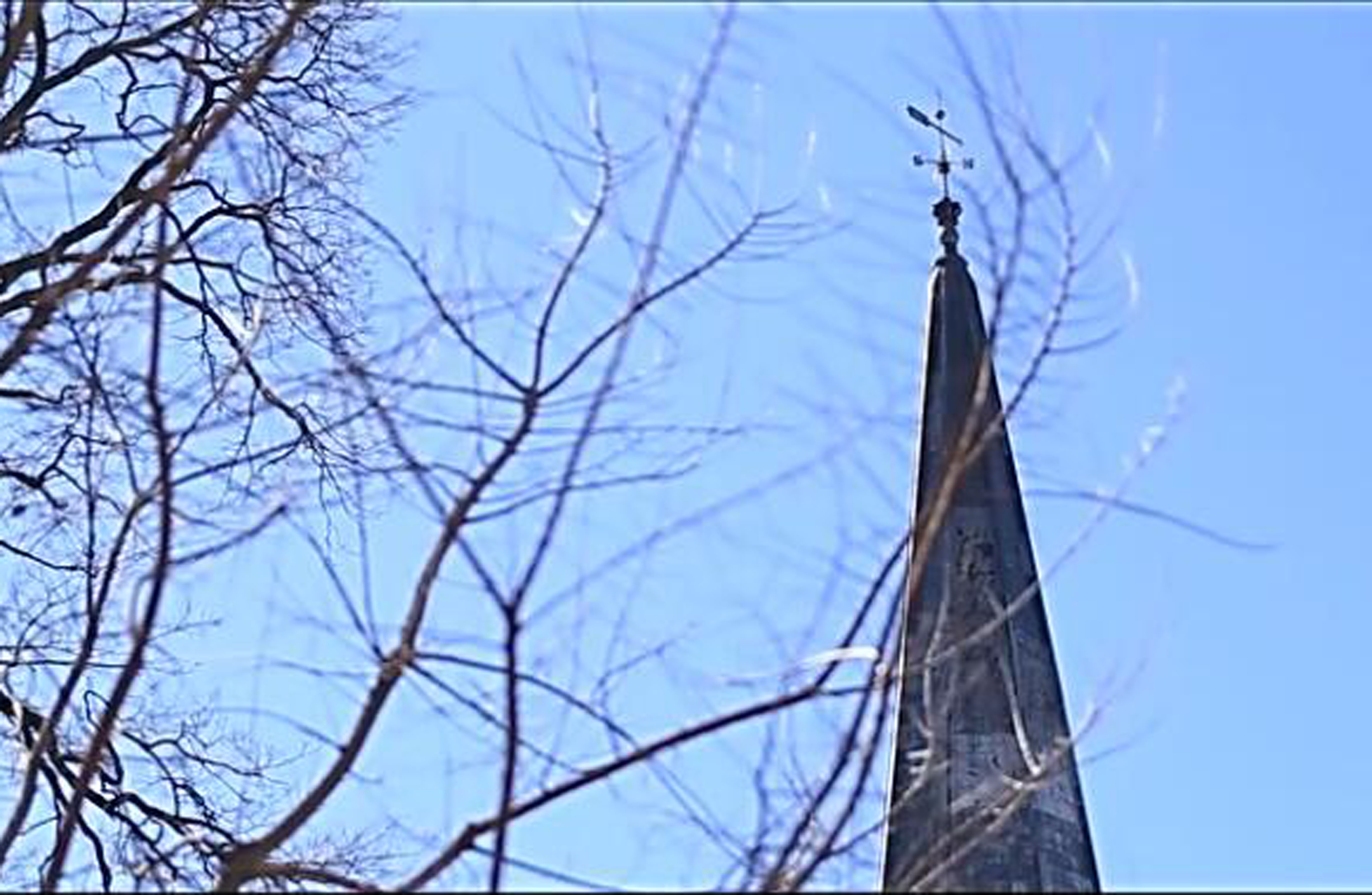 WE留学生-话题系列-申请：误区与归正