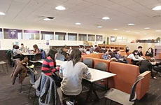 WE留学生-大学系列-融于城市、融于世界的纽约大学