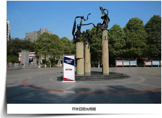 开放日阳光明媚